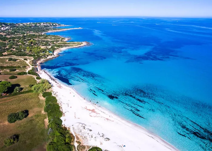 Villa Roc E Fiore Corbara