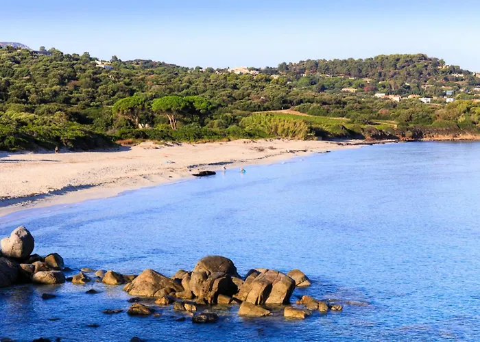 Roc E Fiore * Corbara